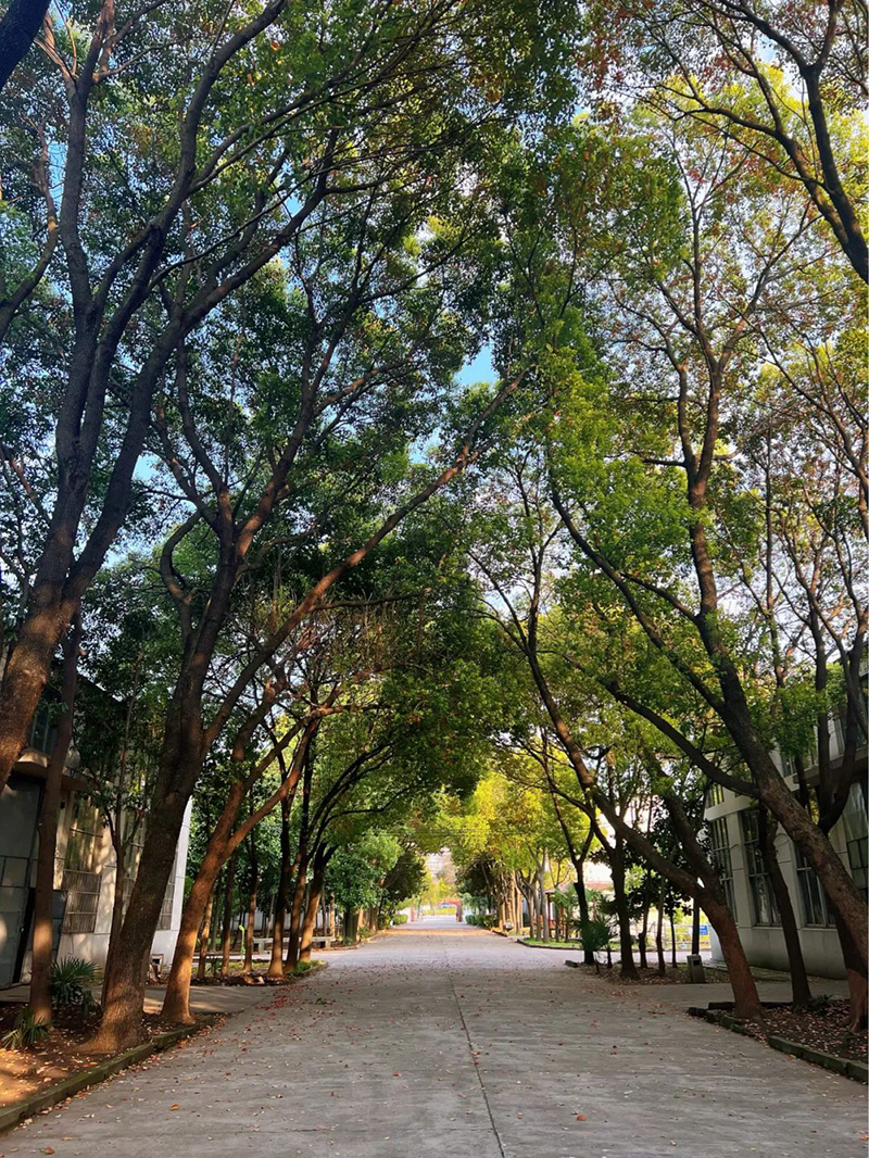 极致的康发双螺杆挤出机工匠精神，支撑着在追逐梦想的旅程中稳步迈进。