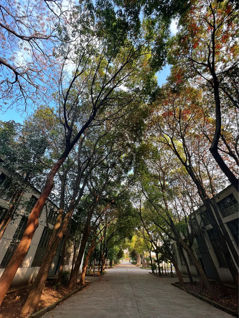 极致的康发双螺杆挤出机工匠精神，支撑着在追逐梦想的旅程中稳步迈进。