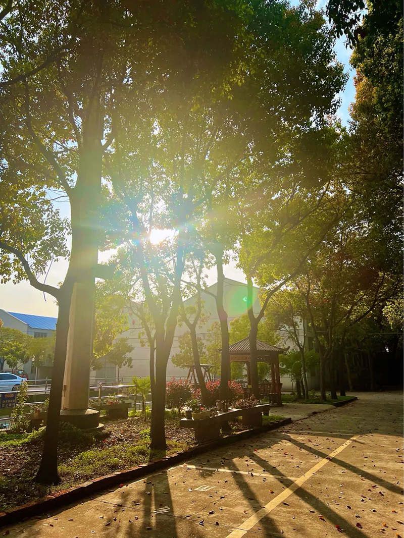 极致的康发双螺杆挤出机工匠精神，支撑着在追逐梦想的旅程中稳步迈进。